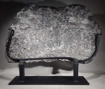 'Orthoceras' fossil cluster Custom Display Stand (back).