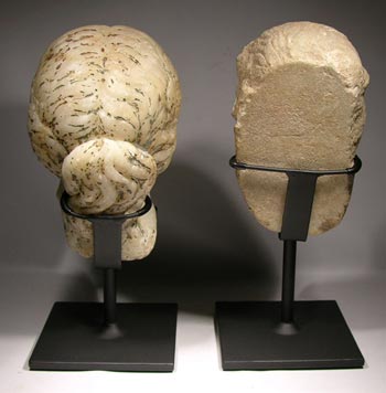 Roman Marble Bust Displays